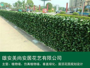 仿真植物墻 雄安美尚安居景觀工程的設(shè)計、施工與價格指南